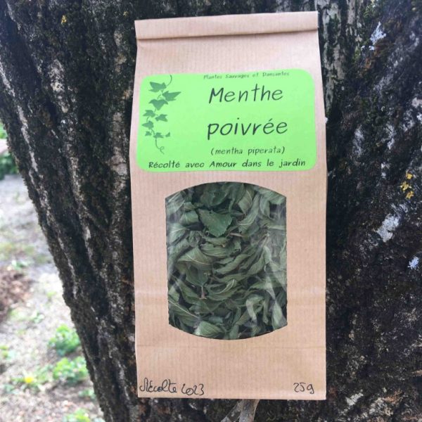Tisane menthe poivrée